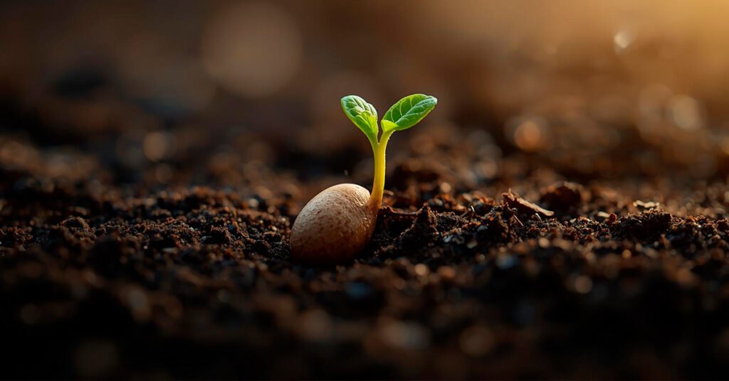 Semente-germinando-metade-ainda-na-terra-e-metade-ja-brotando-para-fora-representando-transformacao-e-crescimento.-Luz-suave-iluminando-o-broto-1024x536 Ser Solidário é Ser Assistencialista?